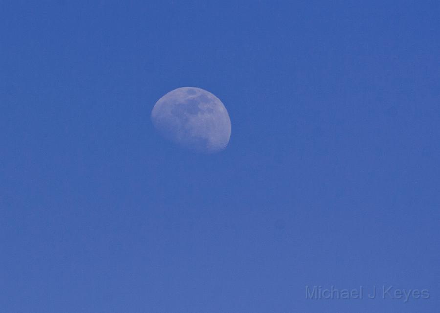 IMG_8557 copy.jpg - Moonrise